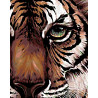  Глаз тигра Раскраска картина по номерам на холсте A415