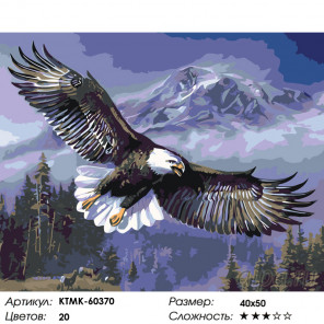 Парящий орлан Раскраска картина по номерам на холсте KTMK-60370