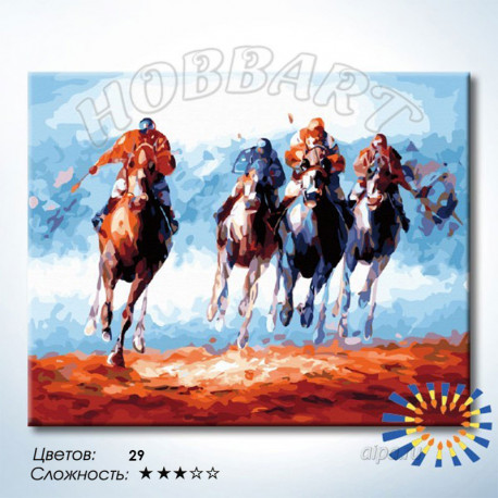 Количество цветов и сложность Поло Раскраска по номерам на холсте Hobbart HB4050401-LITE