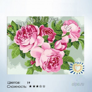 В рамке Розовое пышноцветье Раскраска по номерам на холсте Hobbart HB3040153-Lite