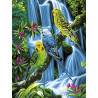  Волнистые попугаи Раскраска картина по номерам на холсте Z-EX5286