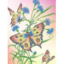 Бабочки и васильки Канва с рисунком для вышивки бисером