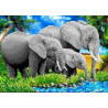 Слоны Канва с рисунком для вышивки бисером