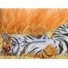 Тигр Канва с рисунком для вышивки бисером