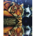 Тигр у воды Алмазная мозаика вышивка Painting Diamond