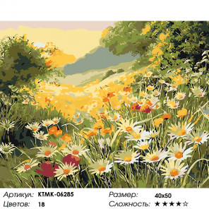  Июньский вечер Раскраска картина по номерам на холсте  KTMK-06285