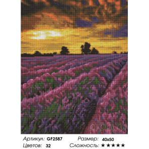 Количество цветов и сложность В лавандовом поле Алмазная вышивка мозаика Painting Diamond GF2587