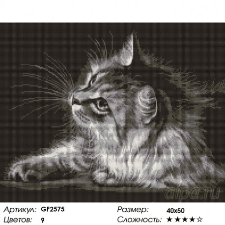 Количество цветов и сложность Серая кошка Алмазная вышивка мозаика Painting Diamond GF2575