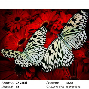 Количество цветов и сложность Белые бабочки Раскраска картина по номерам на холсте ZX 21556