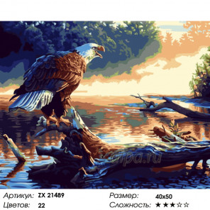  Орел на реке Раскраска картина по номерам на холсте ZX 21489