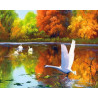  Лебеди осенью Раскраска картина по номерам на холсте ZX 21672
