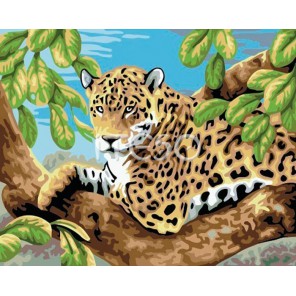 Леопард 30х40 Раскраска по номерам акриловыми красками на холсте Iteso Картина по номерам