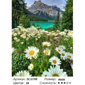 Количество цветов и сложность Поле ромашек Раскраска картина по номерам на холсте ZX 21709