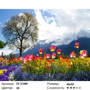  Тюльпановое поле Раскраска картина по номерам на холсте ZX 21680