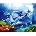 Семейство дельфинов Раскраска по номерам на холсте Iteso