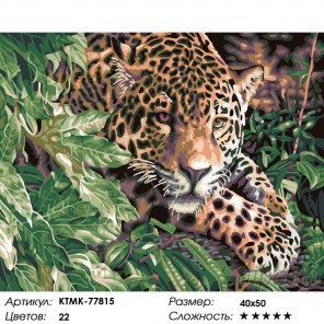 Количество цветов и сложность Леопард в зарослях Раскраска картина по номерам на холсте KTMK-77815