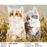 Количество цветов и сложность Котята на лугу Раскраска картина по номерам на холсте KTMK-393604