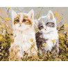  Котята на лугу Раскраска картина по номерам на холсте KTMK-393604