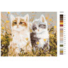 Раскладка Котята на лугу Раскраска картина по номерам на холсте KTMK-393604