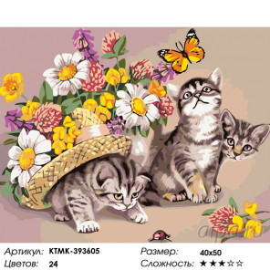  Три котенка на прогулке Раскраска картина по номерам на холсте KTMK-393605
