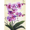 Орхидеи. Композиция Канва с рисунком для вышивки Матренин посад