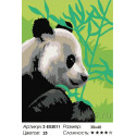 Панда и бамбук Раскраска картина по номерам на холсте