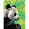  Панда и бамбук Раскраска картина по номерам на холсте Z-EX5011