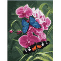 Бабочки и орхидея Раскраска картина по номерам на холсте
