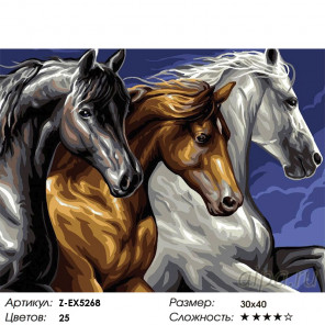  Резвая тройка лошадей Раскраска картина по номерам на холсте Z-EX5268