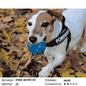  Игривый пес Раскраска по номерам на холсте Живопись по номерам KTMK-201901101