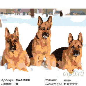  Умные собаки Раскраска по номерам на холсте Живопись по номерам KTMK-27089