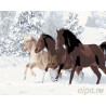  Кони на зимней прогулке Раскраска по номерам на холсте Живопись по номерам KTMK-662231