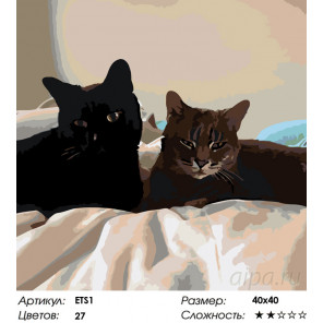  Парочка котов Раскраска по номерам на холсте Живопись по номерам ETS1