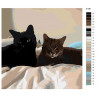 Раскладка Парочка котов Раскраска по номерам на холсте Живопись по номерам ETS1