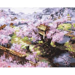 Цветущая сакура Раскраска картина по номерам акриловыми красками на холсте Paint by Number