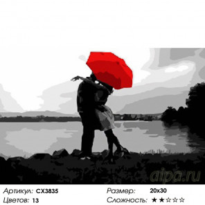 Количество цветов и сложность Любовь под зонтом Раскраска картина по номерам на холсте CX3835