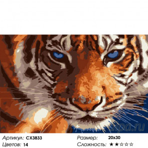 Количество цветов и сложность Голубые глаза Раскраска картина по номерам на холсте CX3833