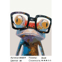 Стильная лягушка Раскраска картина по номерам на холсте