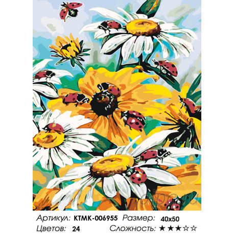 Количество цветов и сложность Садовые ромашки Раскраска по номерам на холсте Живопись по номерам KTMK-006955