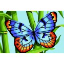 Бабочка Раскраска по номерам на холсте Color Kit