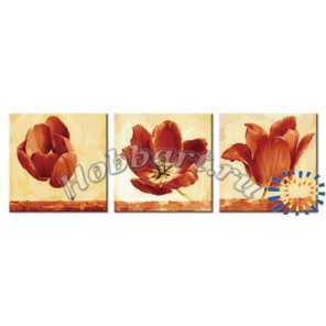 Трио тюльпанов Раскраски картины по номерам акриловыми красками на холсте Hobbart