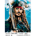 Капитан пиратов Раскраска по номерам на холсте Живопись по номерам