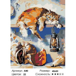  Кот в чулане Раскраска по номерам на холсте Живопись по номерам A80