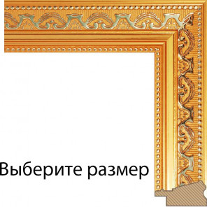 Выберите размер Baroque Золотая Рамка багетная для картины на подрамнике и на картоне