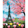  Весенние цветы Парижа Раскраска по номерам на холсте Живопись по номерам RO85