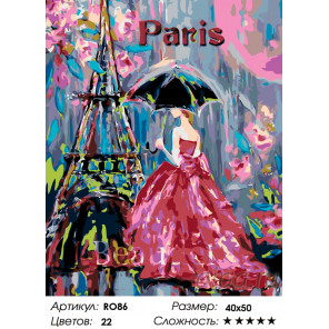 Количество цветов и сложность Парижанка Раскраска по номерам на холсте Живопись по номерам RO86