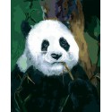 Задумчивая панда Раскраска картина по номерам на холсте Iteso 