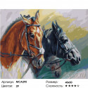 Грациозные лошади Раскраска картина по номерам на холсте