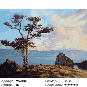 Количество цветов и сложность Якутия, Раскраска картина по номерам на холсте МСА230