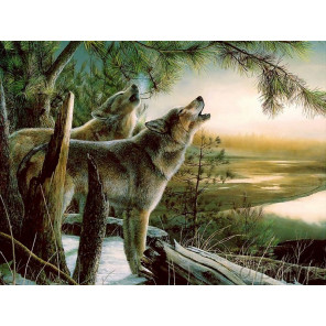 Волки Раскраска картина по номерам на холсте